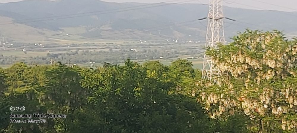 Teren de vanzare