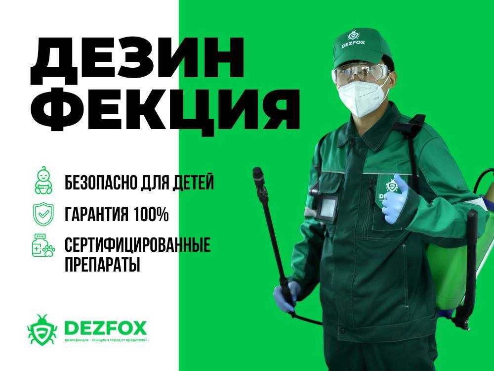 Санитарная Обработка Дезинфекция Помещений Уничтожение Грызунов Мышей