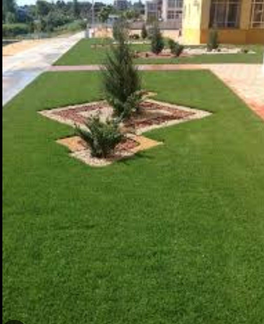 Gazon ekish 20 ming soʻm kvadrati