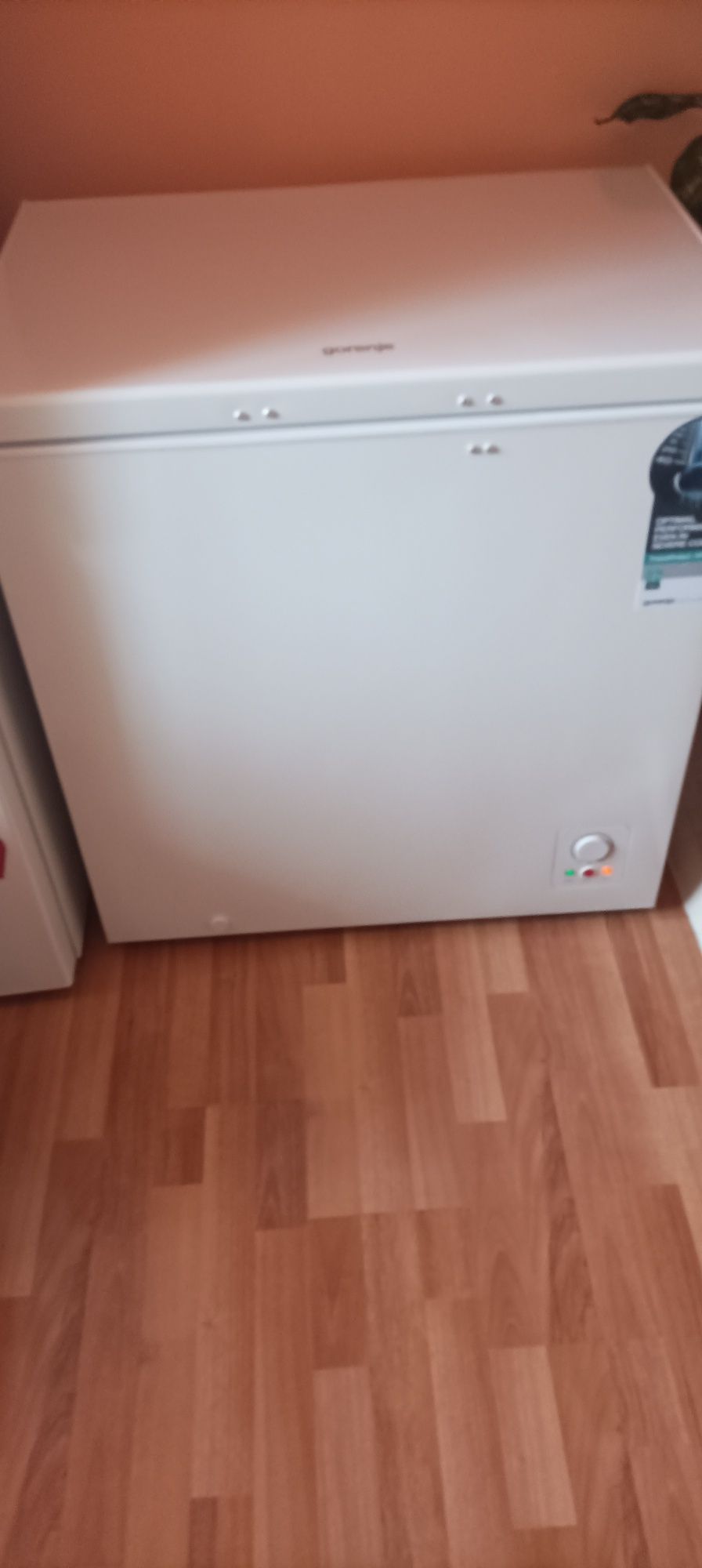 lada frigorifica gorenje