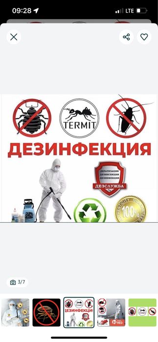 Дезинсекция термитов • Уничтожение насекомых • Обработка помещений