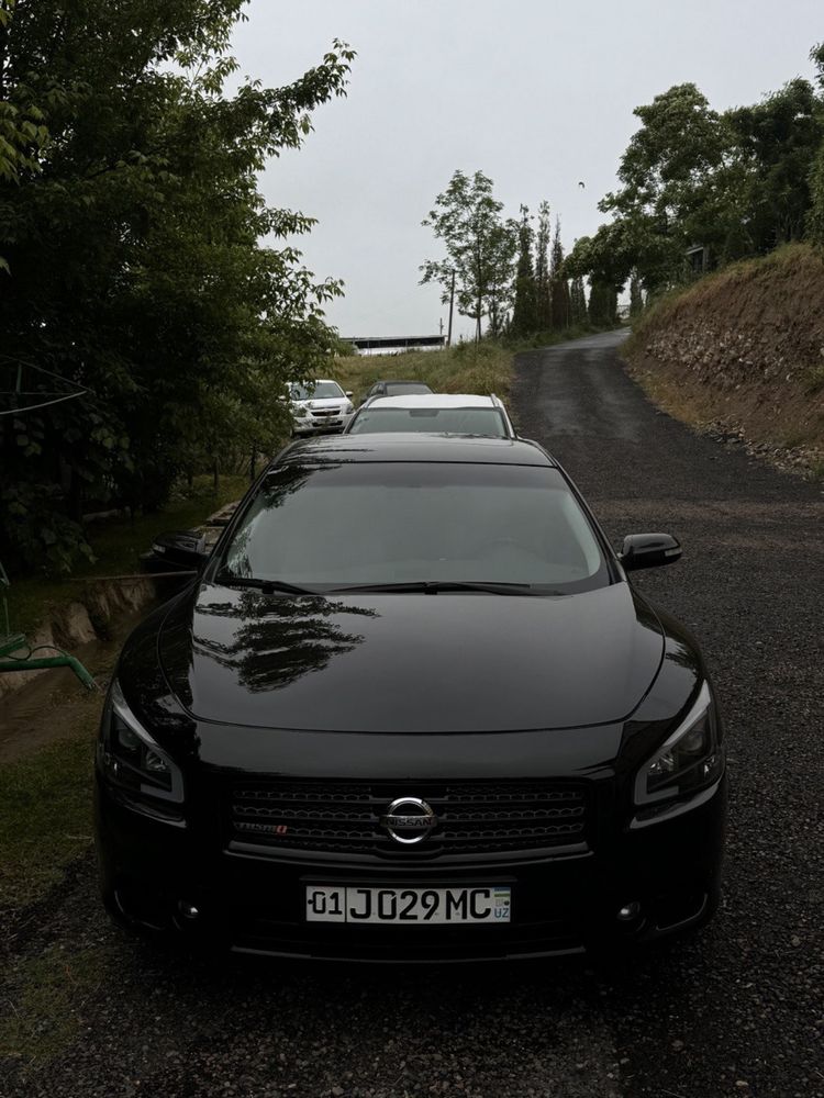 Продаю Nissan Maxima A35 3.5l.