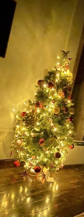 Еслка в комплекте 1.20