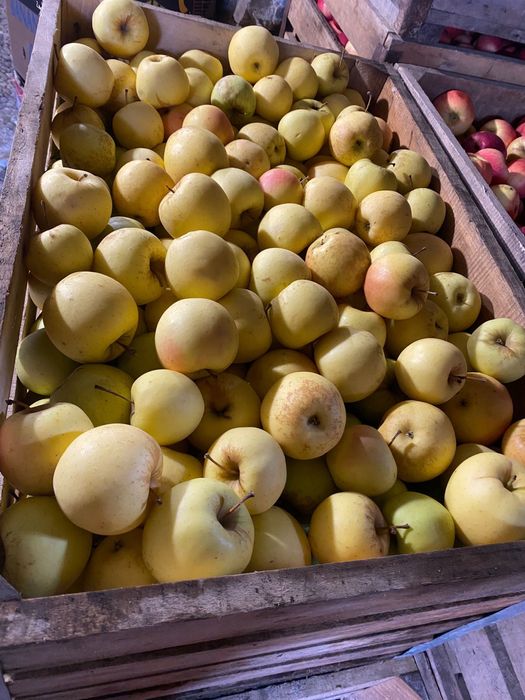 Mere de vanzare diverse sortimente