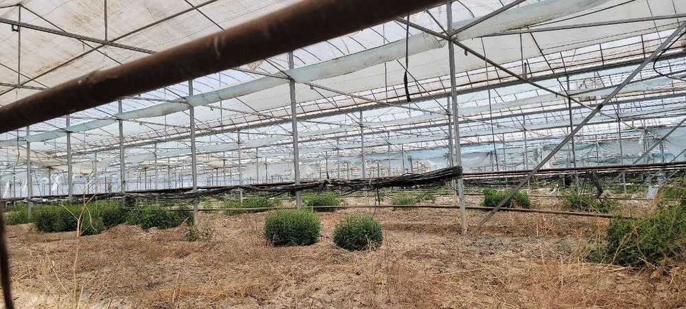 Автозапчать бозор енидан 1 ГА нотурар бино иншоот 225000уе савдоси бор