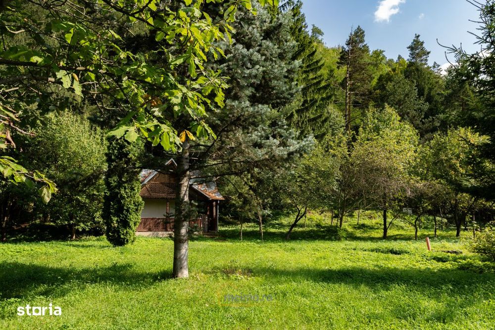 Familia ta merita casa asta – Vezi de ce e unica!