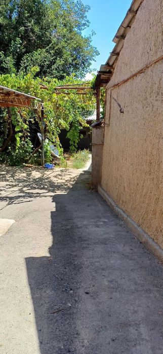 4 сотихли джиззах ховли город