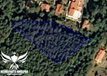 Продавам дървопроизводителна гора 2103 кв. в кв.Долни Воден Асеновград