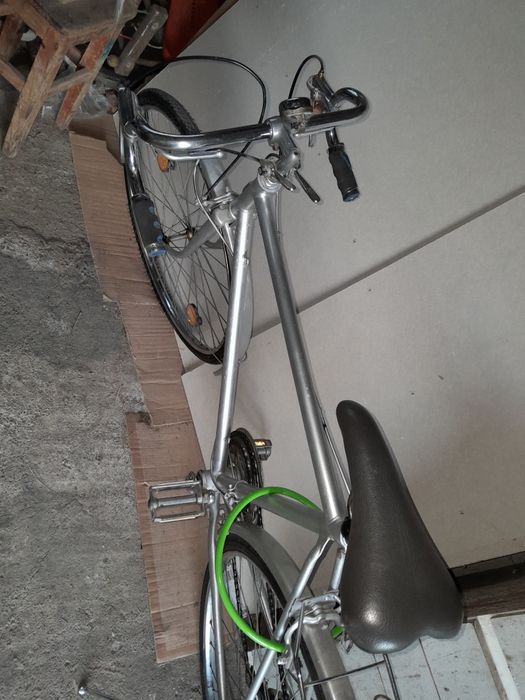 Semicursiera romaneasca