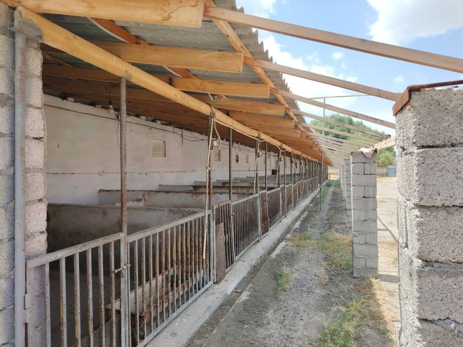 SROCHNO 1.61 gektar tayyor ferma(quyon,mol,qoy) sotiladi
