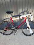 Bicicleta Cursiera Raymon Carbon Disc 2024 Noua