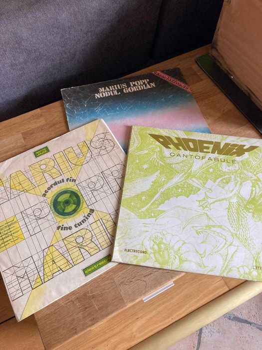 Discuri vinil - Judy Garland,F.Sinatra,J. Iglesias,Steve Miller Band