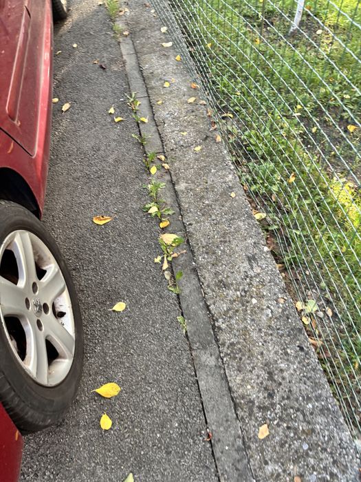 Peugeot 307 Sportwagon