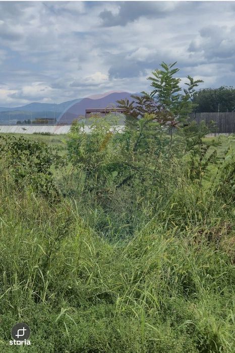 Teren 2,411mp Sighetu Marmatiei / Strada Teplitei