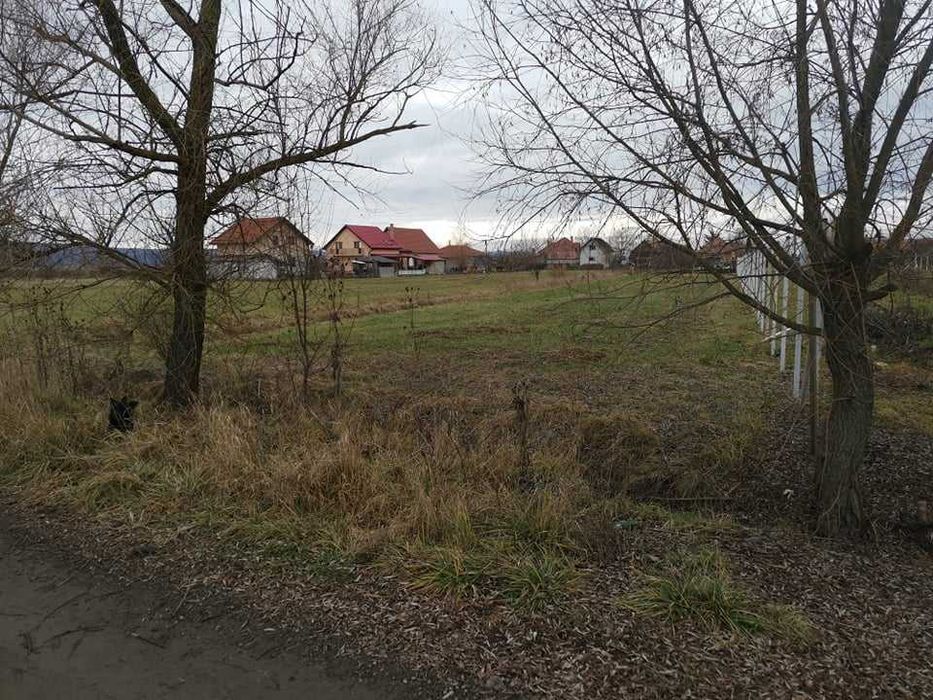 Teren intravilan , Ernei