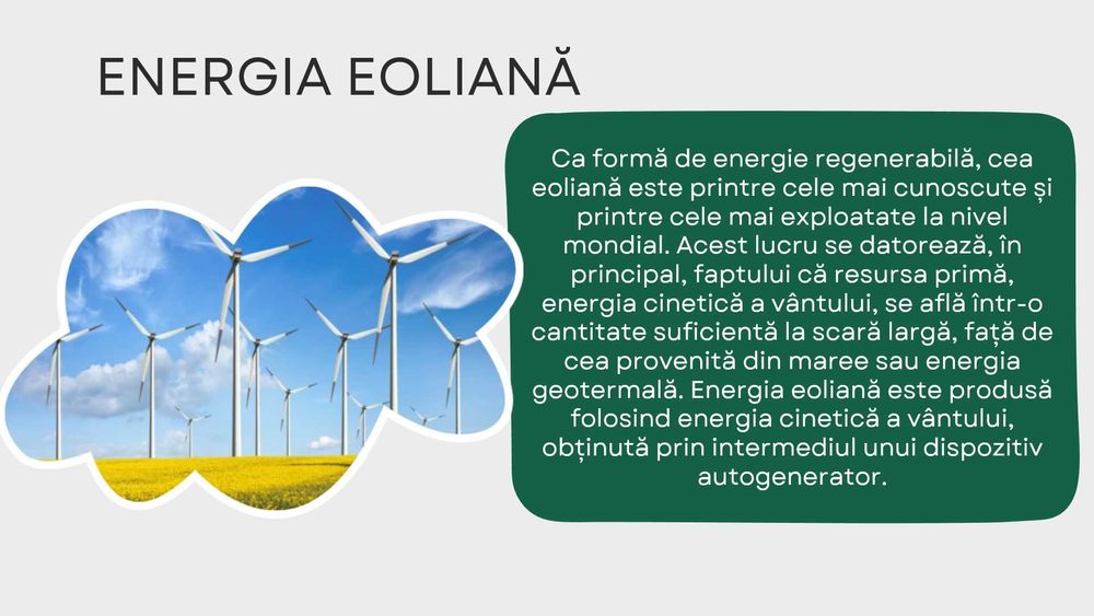 proiecte powerpoint, word, excel