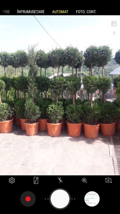 Pentru o gradina de vis nu ezitați sa ne contactați