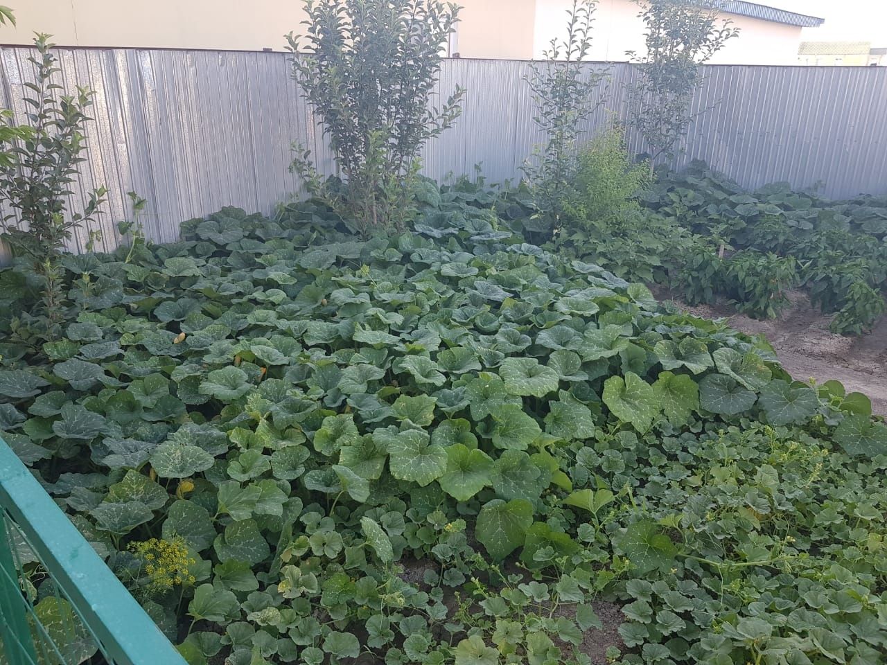 Продам Коттедж .