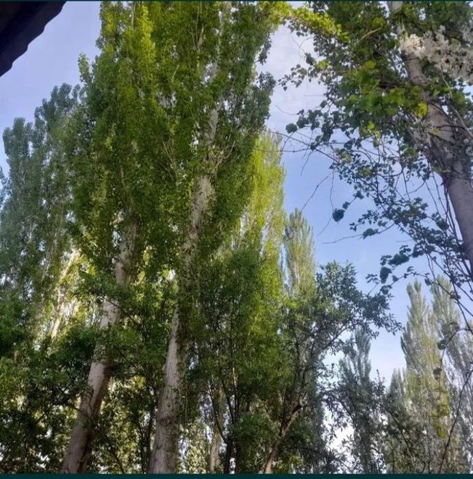 Terklar bor 1000 dona qirib olasiz