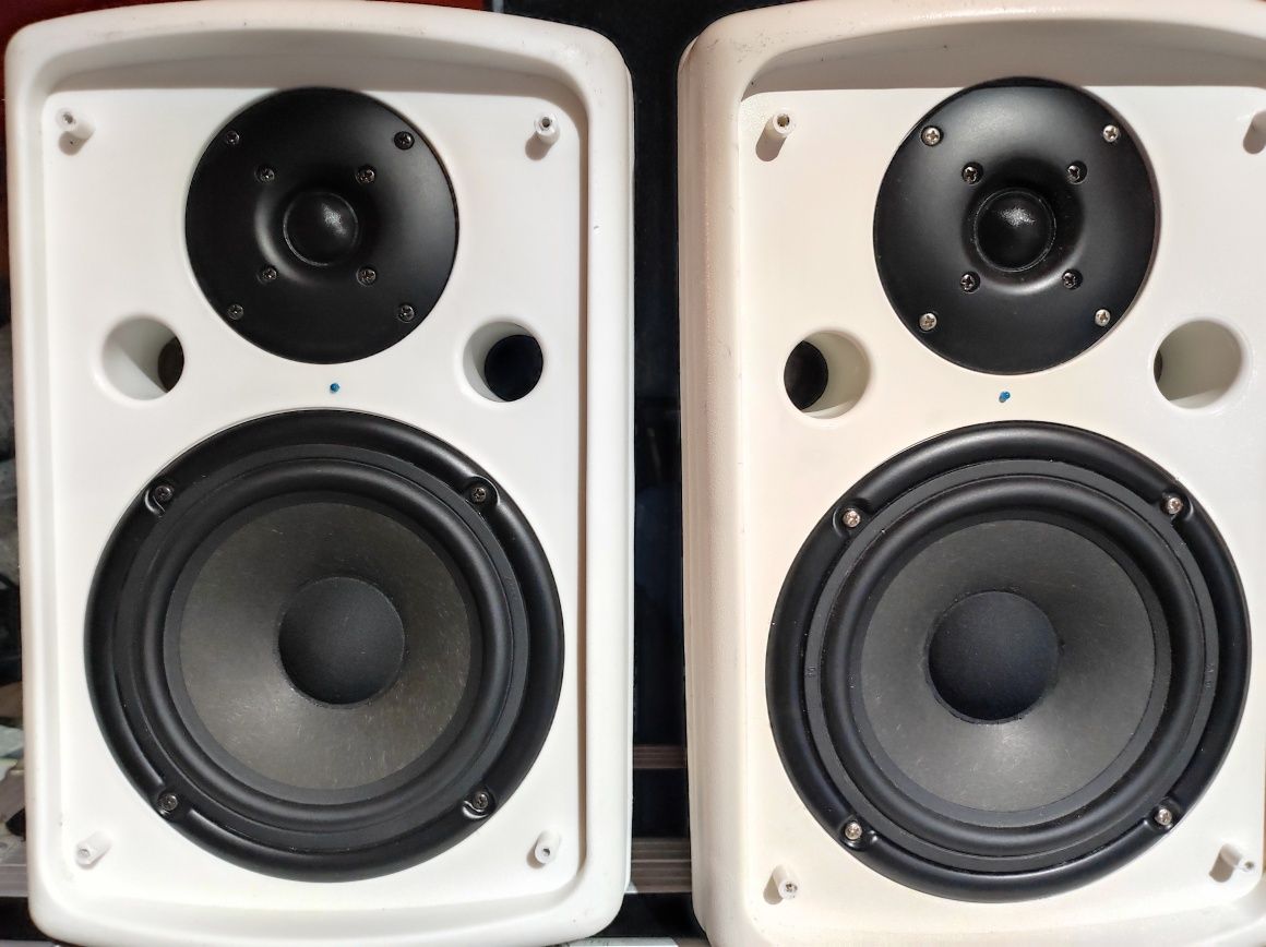 Monitoare audio amplificate