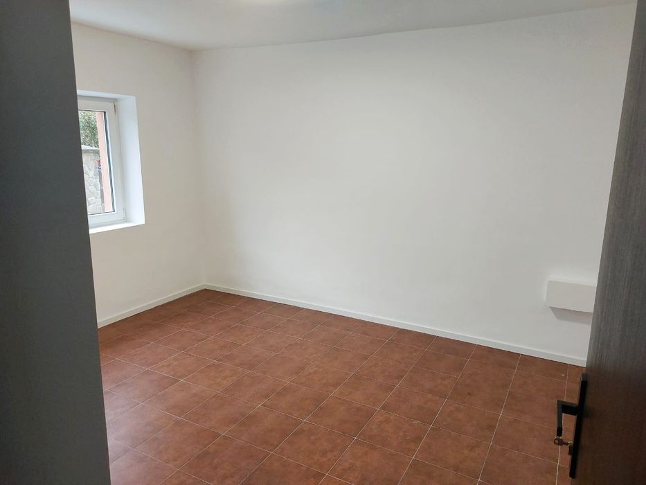 Spatiu de închiriat zona Nicolina Podu-Ros