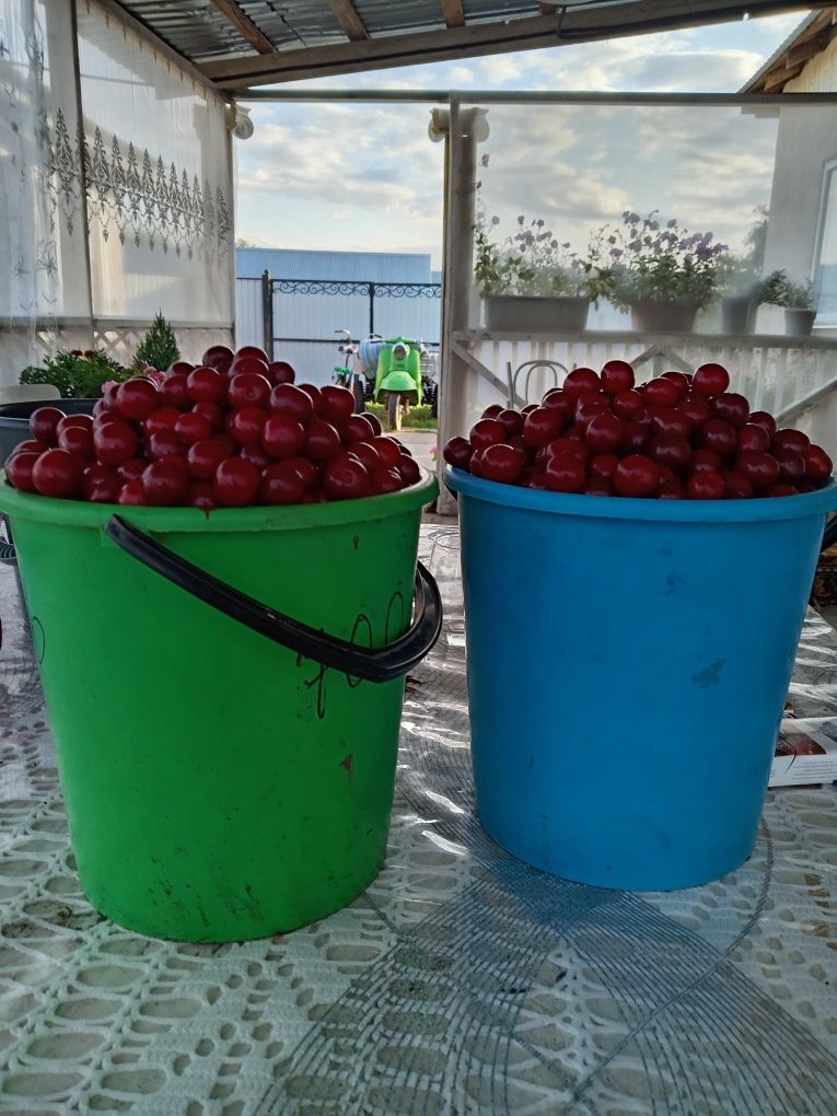 Кирпичный дом в пос. Круглоозерное