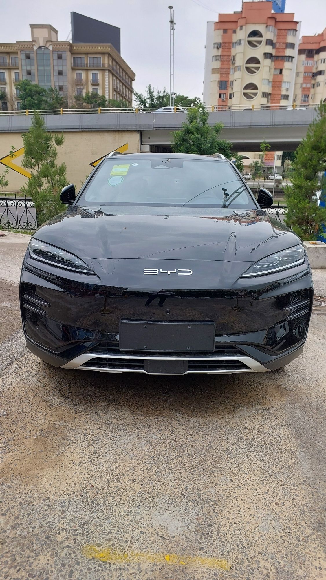 BYD song champion 2025