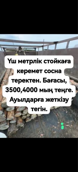 Ағаш сатылады дерево сосна