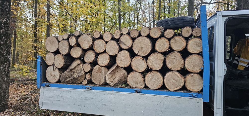 Lemn de foc uscat si verde