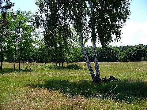 Продавам парцел 3000м2 в с. Рудник, Варна, на 10 км. от морето-5E/м2