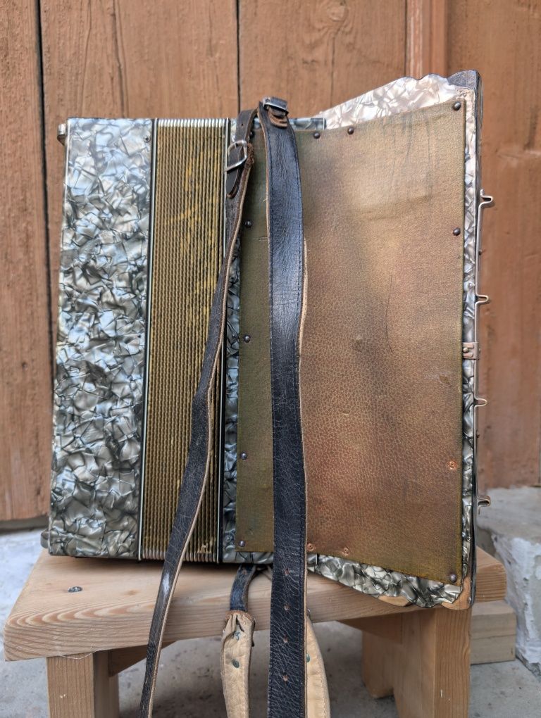 Acordeon Elgeria 80 basi