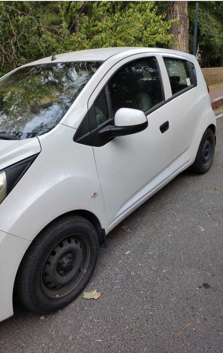 Спарк насияга берилади