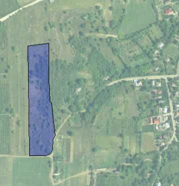 Teren extravilan 15000 mp Uricani Iasi
