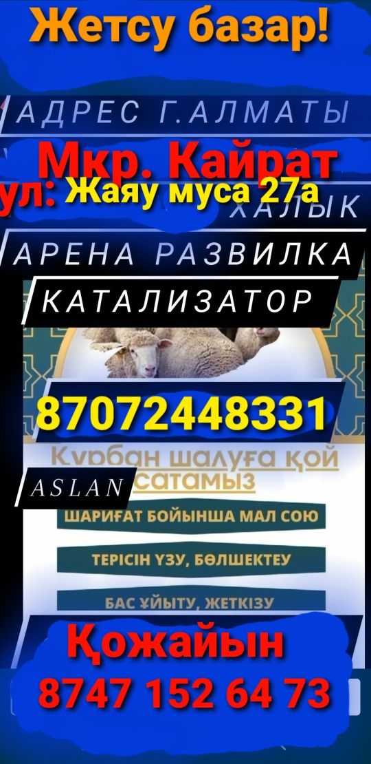 Кой Бараны Кой  токтушки Продаются  большой выбор г Алматы