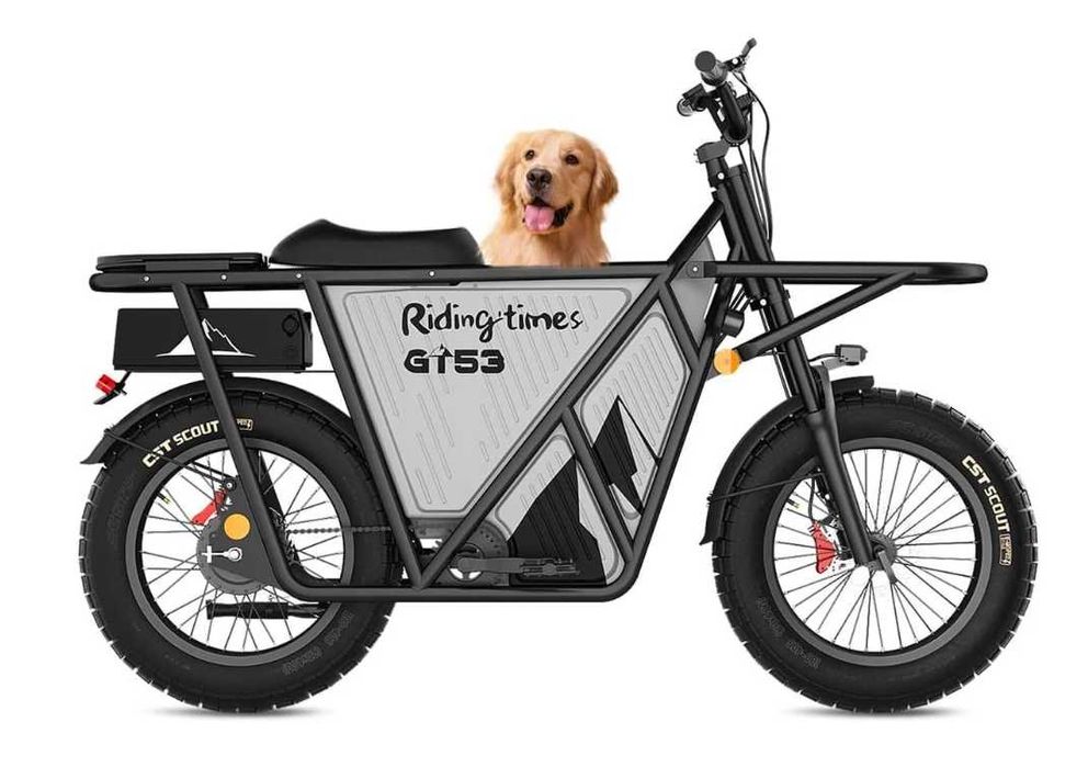 Електрически велосипед Riding Times GT53 Карго 2000w 23.4ah 50km/h