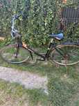 Bicicleta de dama