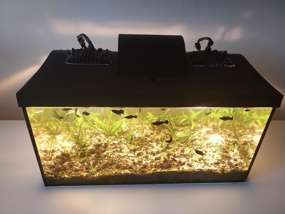 Acvariu complet de vanzare