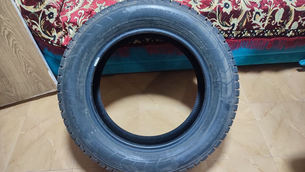 Зимние шины Triangle