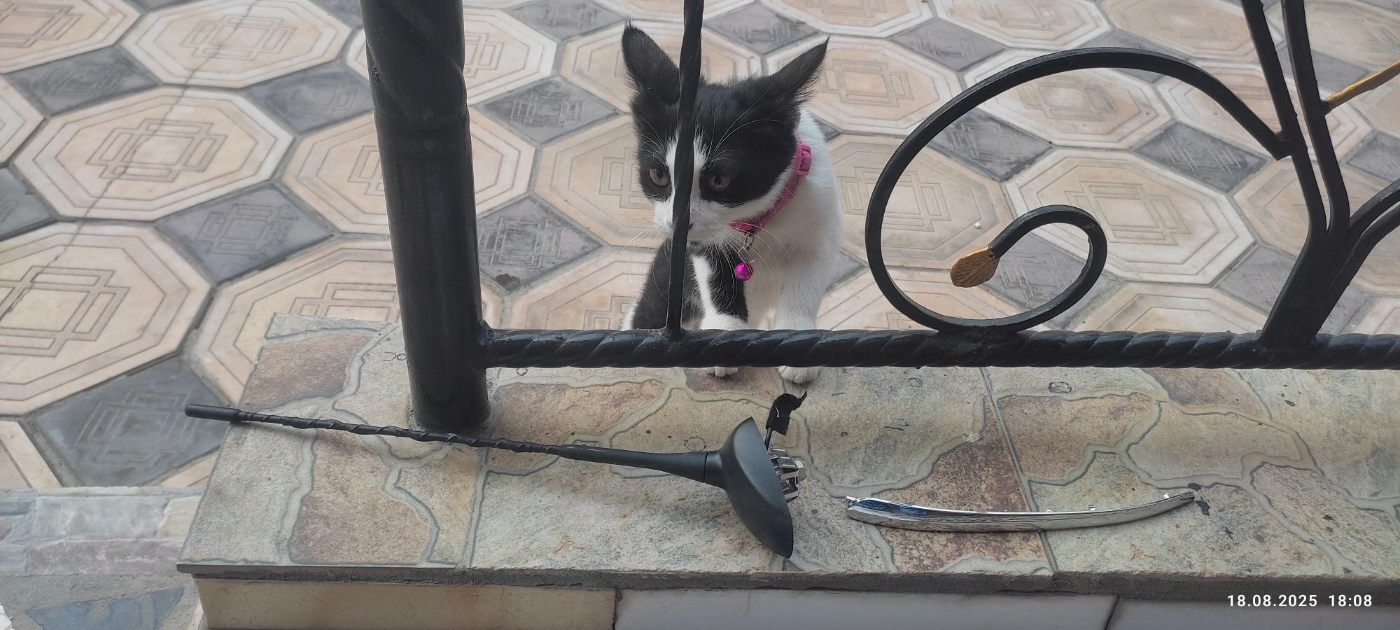 Antena ot tteker 2 novaya  pochti obmen xam bor