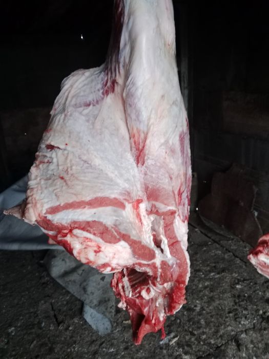 Продам мясо говядина