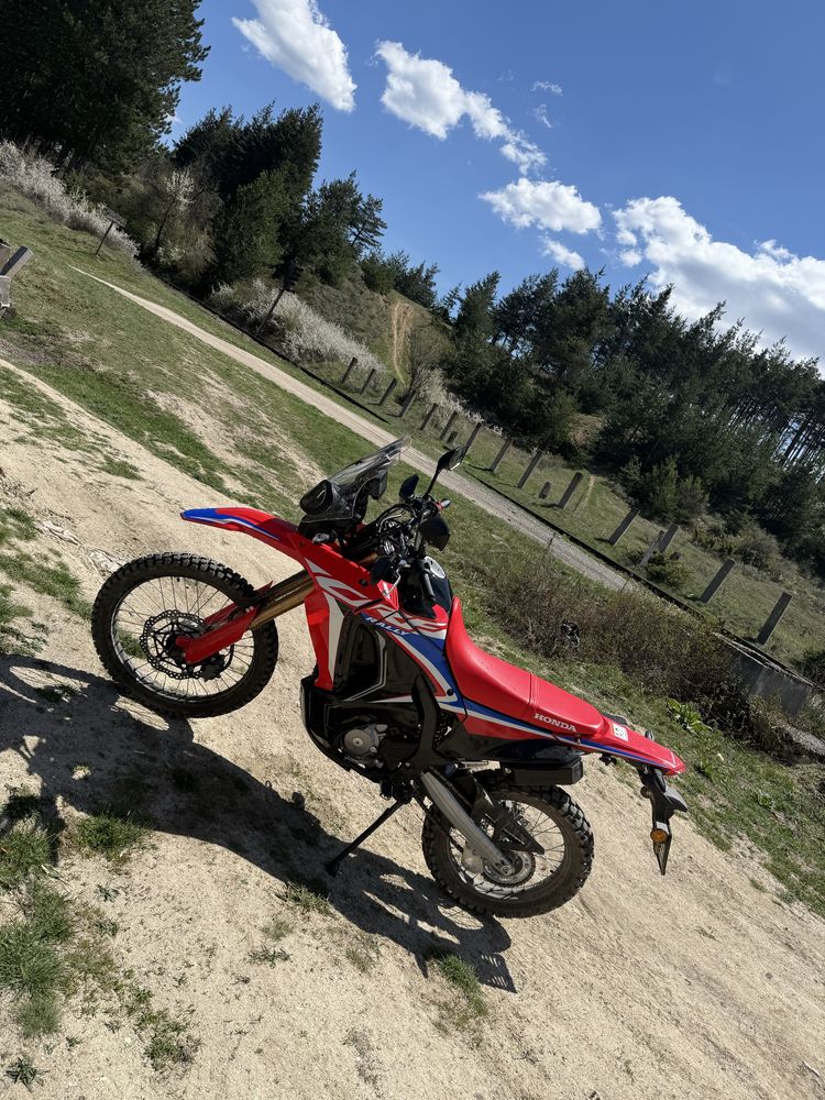 Honda crf 300 rally