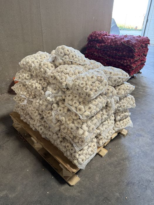 Vand usturoi calitatea 1