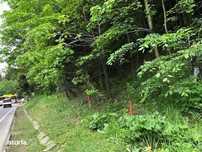 Teren intravilan in Busteni - 3000869 OFERTA