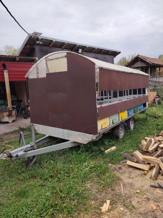 Pavilion apicol 28 familii