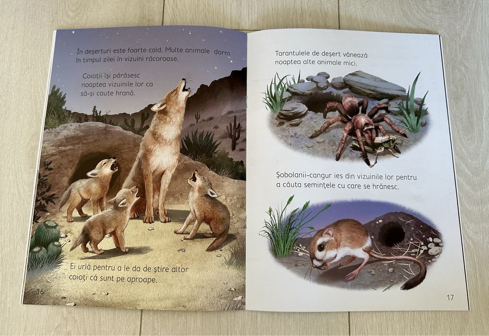 Carte despre natură pt copii “Ce se întâmplă sub pământ” Usborne Books