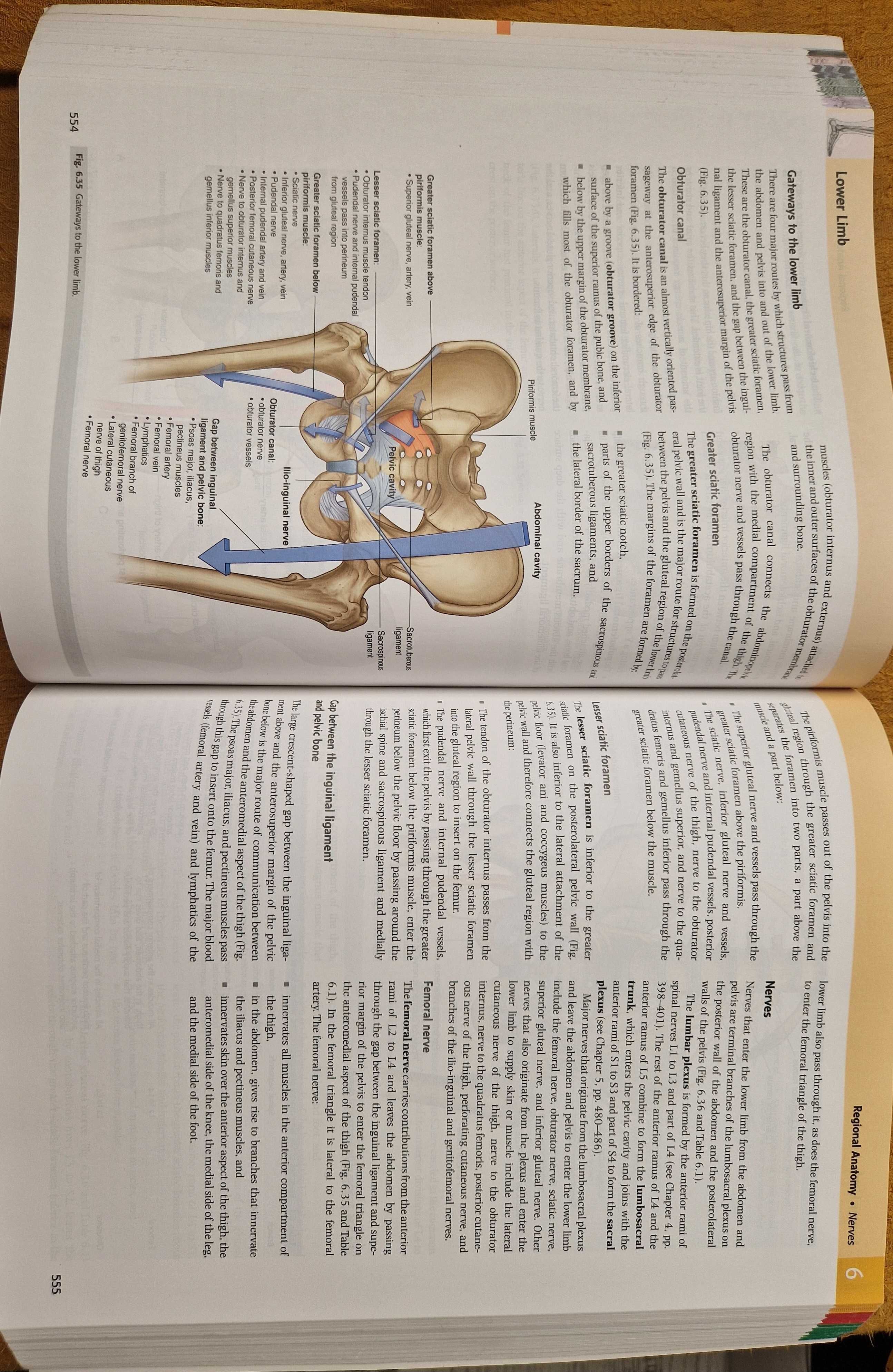 Gray's Anatomy for Students 4th Edition With Student Consult Online