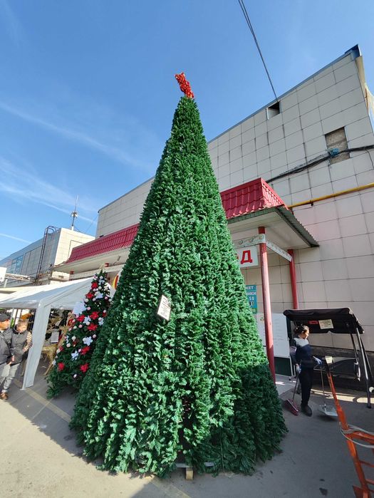 Успейте! 10м елка со скидкой 25% – Новогодняя высота!