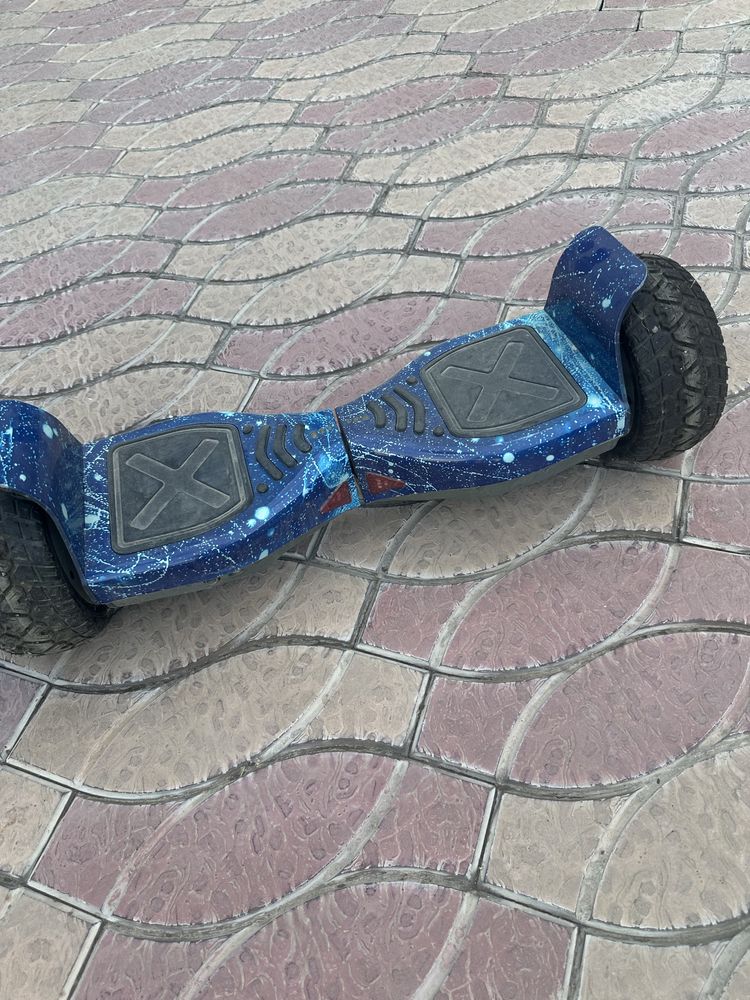 Сигвей холати зор