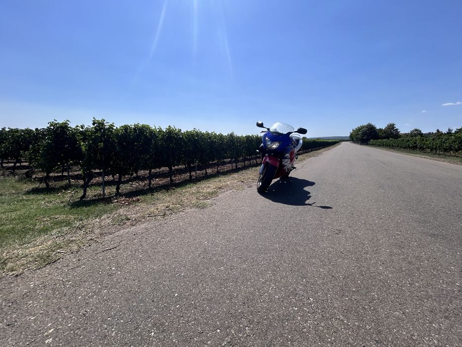 Motocicleta Honda CBR 600