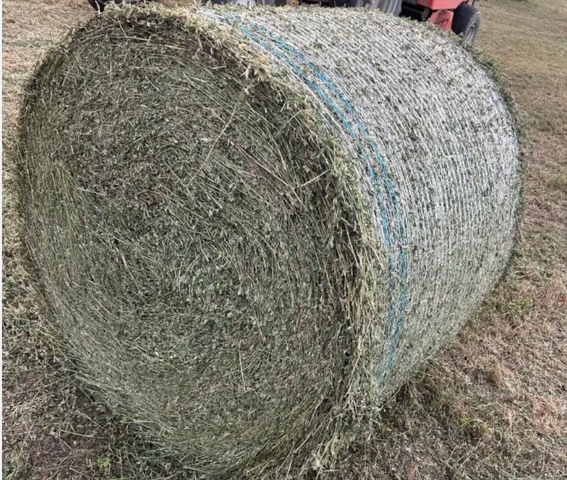 Baloți de lucernă